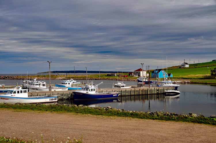 harbor